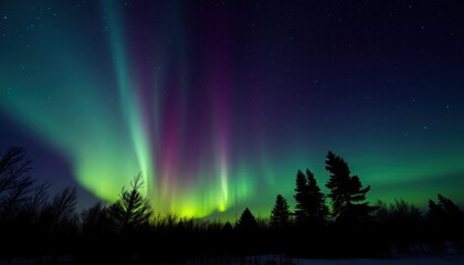 Vivid aurora borealis display over silhouetted trees