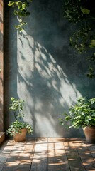 Sunlight Streaming Onto Wall with Plants and Wood Floor