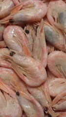 fresh shrimps on the market