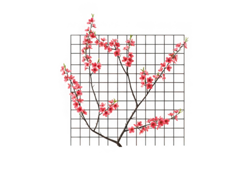 Delicate pink blossom branch isolated on transparent background, showcased on a grid - Powered by Adobe