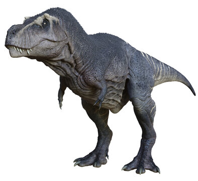 3D rendered Tyrannosaurus - 3D Illustration