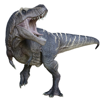 3D rendered Tyrannosaurus - 3D Illustration