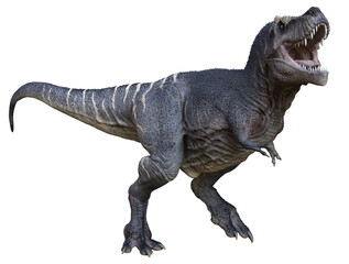 3D rendered Tyrannosaurus - 3D Illustration