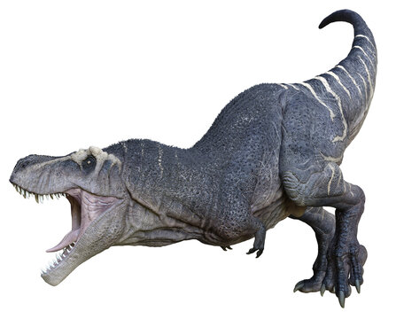 3D rendered Tyrannosaurus - 3D Illustration