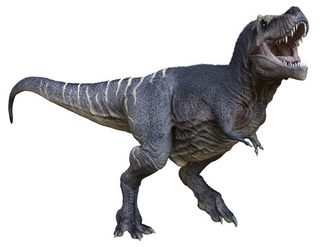 3D rendered Tyrannosaurus - 3D Illustration