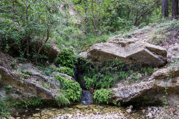 Fuente natural en medio de la naturaleza