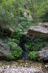 Fuente natural en medio de la naturaleza