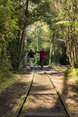 Obraz premium A couple holds hands while walking on an old railway track through a lush forest in New Zealand. They are enjoying a hike and exploring the natural beauty of the area. Karangahake Gorge, NZ