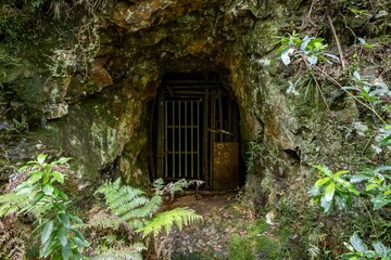 A gated entrance to an abandoned mine is overgrown with moss and ferns in New Zealand. The mine is...
