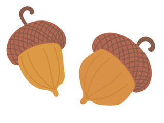Beautiful colored acorn set from oak tree isolated on white background. Hand drawn vector flat colored illustration. Autumn falling leaves, foliage, icon, symbol, sticker design © Nataliya Pokrovska