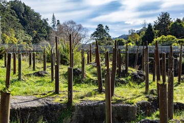 Rusty metal posts stand in a grassy field, remnants of a structure, with a bridge in the...