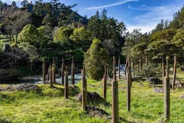 Old bridge supports stand in the foreground of the Ohinemuri River in the Karangahake Gorge in New...