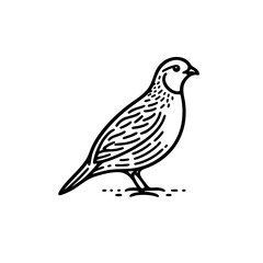 Obraz premium Elegant Quail Bird Line Art: Nature Wildlife Drawing