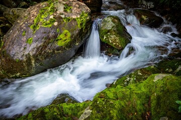 Fast flowing water cascades over mossy rocks in a stream. The long exposure creates a blurred effect, emphasizing the power and movement of the water. New Zealand