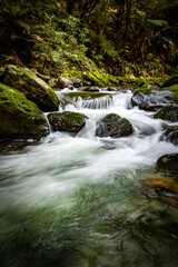A long exposure captures the flow of a river cascading over moss-covered rocks in a lush forest. The water is flowing downstream in New Zealand.