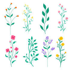 seamless floral pattern