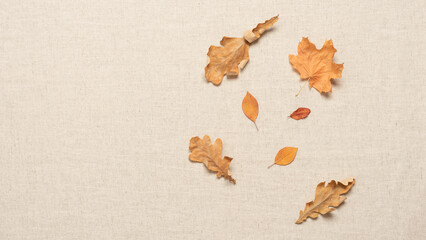 Autumn dried leaves on beige linen fabric, flat lay, top view, copy space