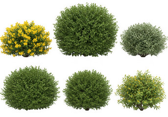 Set of diverse bushes green yellow and grey isolated on transparent background
