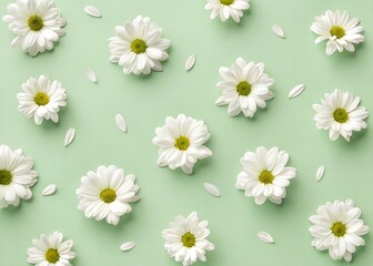 Delicate white daisies scattered on a pale sage green background in a minimalist flat lay composition.