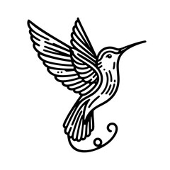 Fototapeta premium Hummingbird Line Art Elegant Bird Illustration