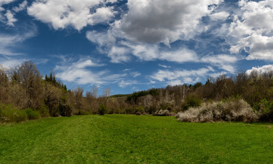 Amazing panorama of a green meadow in the mountains. The meadow is covered with a blue sky filled with white fluffy clouds.  Spring or summer nature photography.