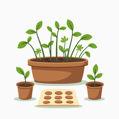 Obraz premium Flat lay of sprouting tray with small plants, compostable seed cups and pH strips for gardening. Flat lay composition includes seedlings growing in organic soil, ensuring healthy growth,