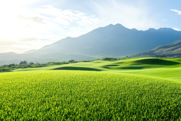 Fototapeta premium Sunlit green landscape with rolling hills and mountains under clear blue sky serene natural scenery