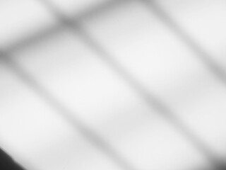 Background shadow white light wall floor backdrop overlay leaf mockup summer sunight overlay nature on room cement abstract blur muckup effect grey minimal platform for presentation product