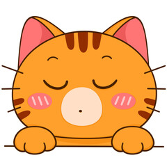 Cute Orange Tabby Cat Sleeping