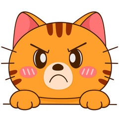 Cute Orange Tabby Cat Angry
