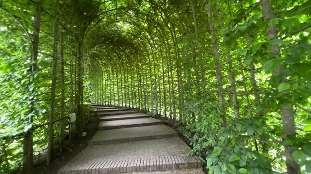 Alnwick Garden Botanical Tunnel Pathway