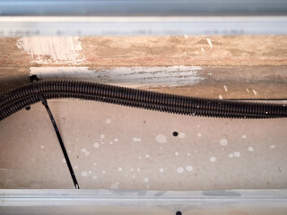 Trachea tubes next to a water pipe in the false ceiling of a home.