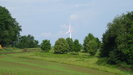 Wind turbine in rural landscape with green trees and field