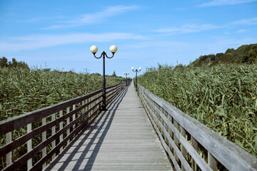 Serene wooden boardwalk stretches through tall green reeds under bright blue sky. Lampposts line path, creating peaceful and inviting atmosphere, ideal for tranquil walk