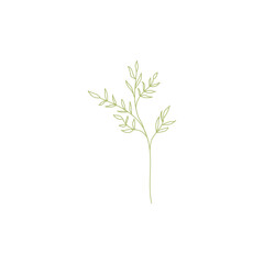 line art tree leaf vector
