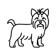 line icon Yorkshire Terrier dog vector on white background
Vector icon of dog breed on white background