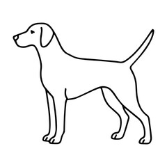 line icon Kurzhaar dog vector on white background
Vector icon of dog breed on white background