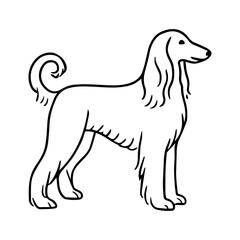 line icon Afghan Hound dog vector on white background
Vector icon of dog breed on white background