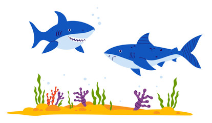 Two Sharks wild animals with algae and coral on sandy seabed. Vector illustration
