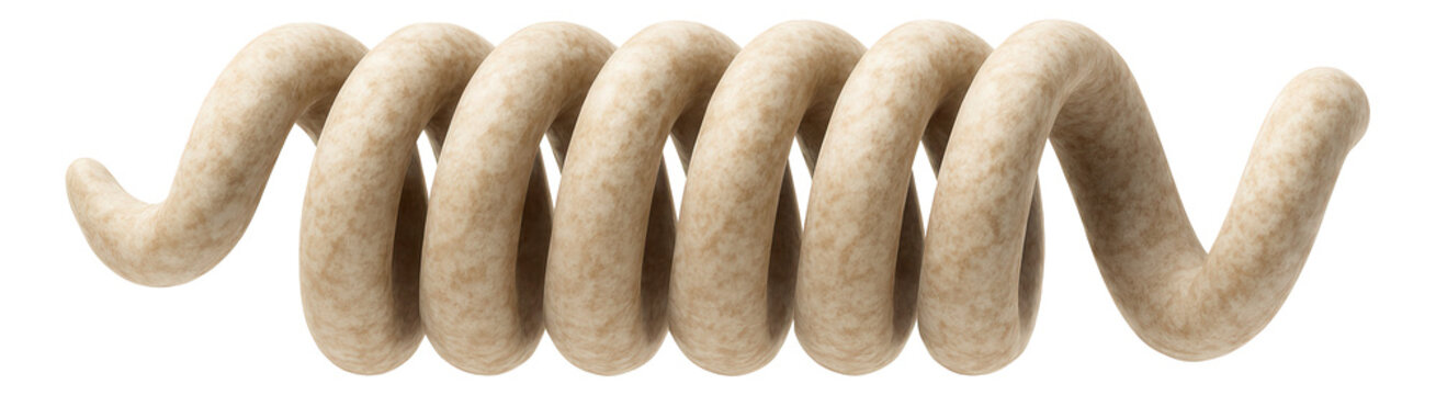 Microfossil of a spirochete with tightly wound spiral structure