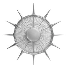 Cylindrical centric diatom with radial symmetry and patterned silica valve
