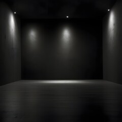 A stark and dramatic dark interior space is depicted, resembling an empty stage or gallery. The walls and floor are a uniform matte black, creating a deep, enveloping void. Subtle, downward-pointing s