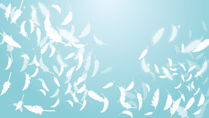 白い鳥の羽がふわふわと舞う（16:9）1 Feather Series:Many white bird feathers fluttering