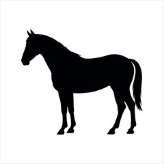 horse silhouette vector