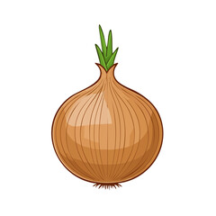 Isolated Onion Bulb Illustration Fresh Green Stalk Detailed Vegetable Food Ingredient Nutrient Cooking Healthy Diet Recipe Still Life