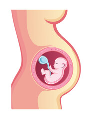 Pregnant Belly Showing Baby Fetus Growth