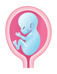 Blue Fetus Illustration in Pink Uterus Shape