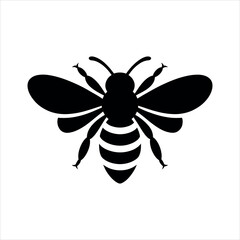 bee vector illustration