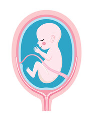 Pink Fetus Reaching in Womb Illustration