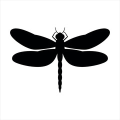 dragonfly vector illustration